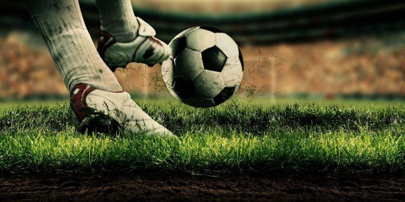 Tính số thưởng để tránh bị nhà cái bịp Tính số thưởng để tránh bị nhà cái bịp