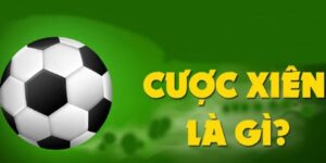 Chia Sẻ Kinh Nghiệm Cược Xiên Bất Bại Cho Anh Em Tân Thủ 5 kinh nghiem cuoc xien cuoc xien la du doan ket qua cua nhieu tran trong cung mot thoi diem